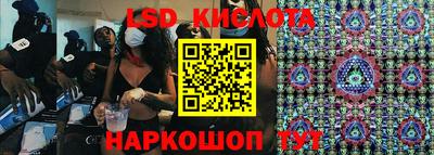 прущие грибы Моздок