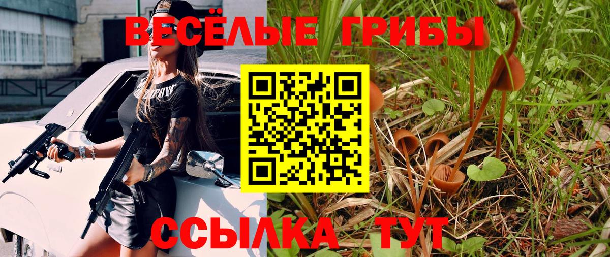 Псилоцибиновые грибы Psilocybe Тавда